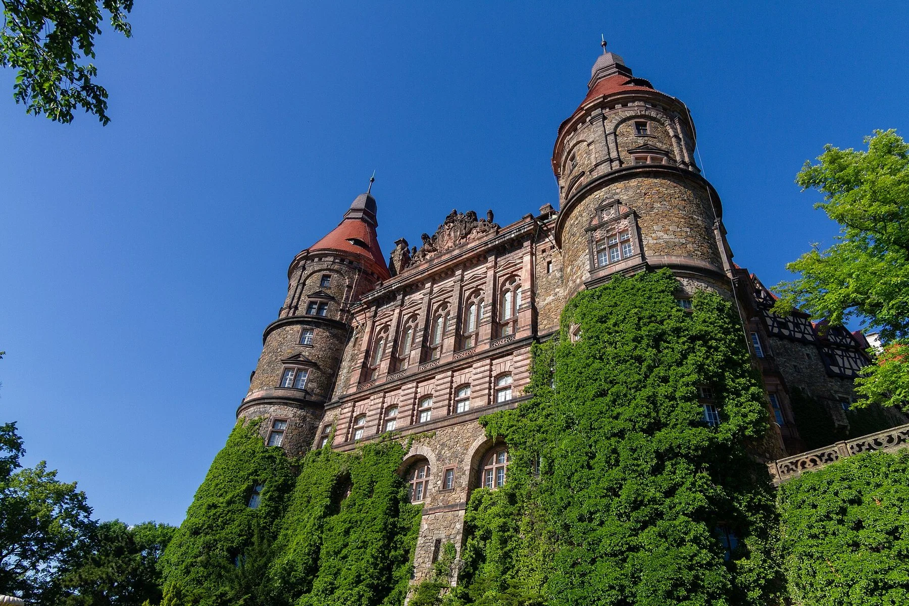 Tornen och de murgrönsklädda murarna på Książ slott i Wałbrzych, sedda underifrån mot blå himmel