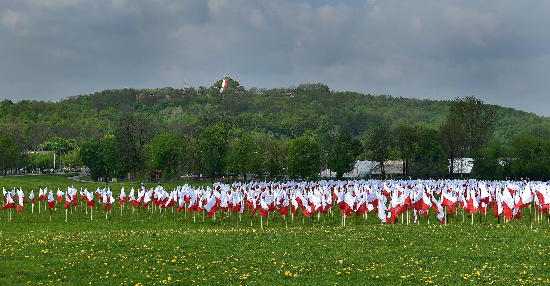 Hundredvis af rød-hvide polske flag på Błonia-sletten i Kraków på flagdagen 2. maj, med Kościuszko-højen bagved