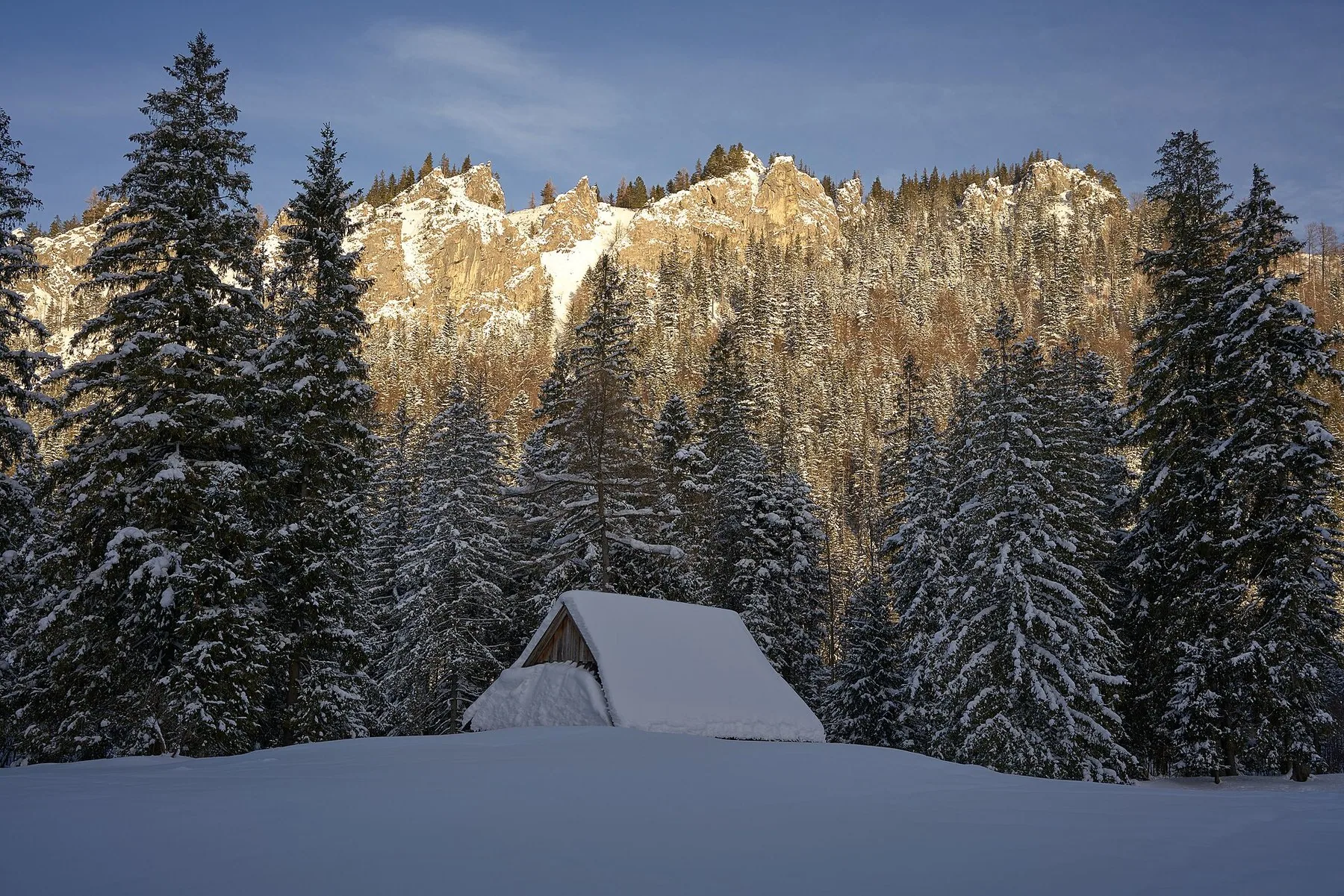Snødekt fjellhytte mellom granskog under kalksteinstoppene i Tatra ved Zakopane en klar vinterdag
