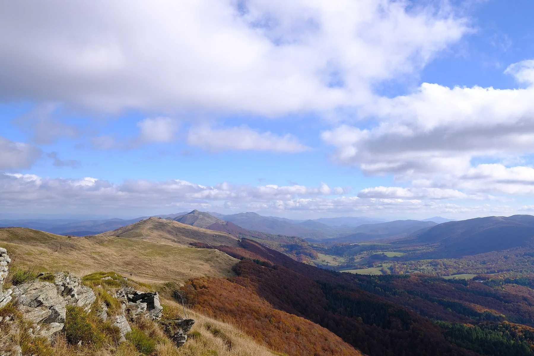 Gule og orange bøgeskove i Bieszczady nationalpark i oktober
