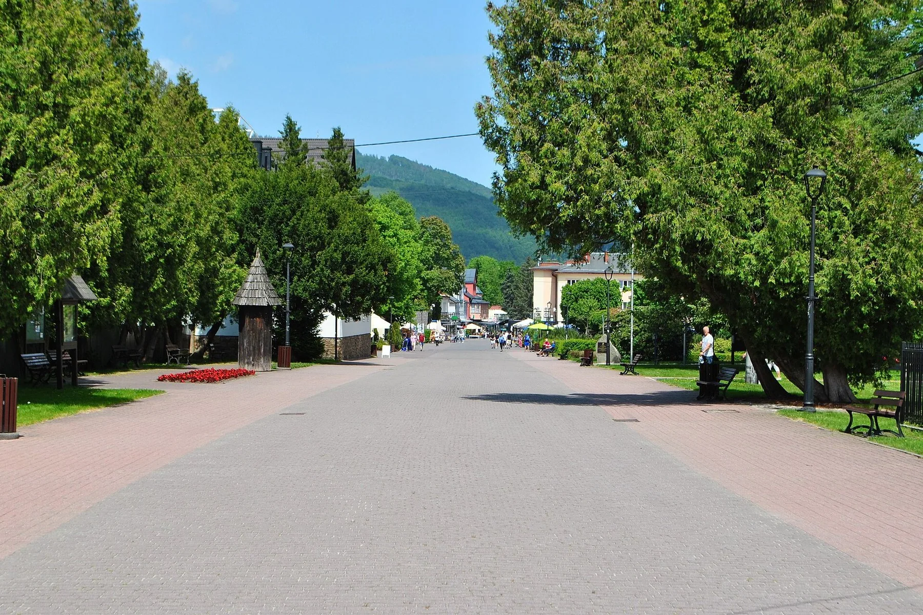 Den trebevokste promenadegata 1 Maja i sentrum av Wisła med skogkledde åser i bakgrunnen