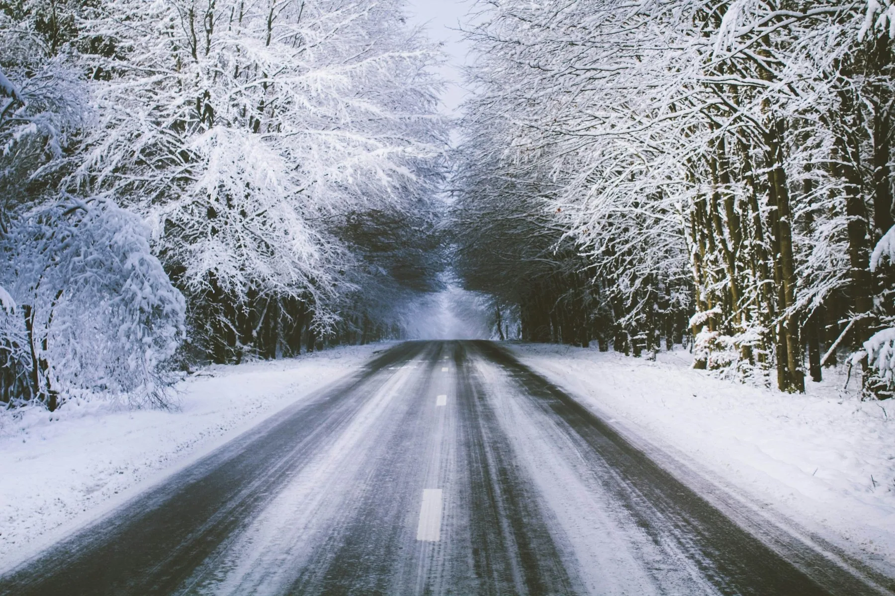 Snødekket landevei gjennom rimfrost-kledde trær